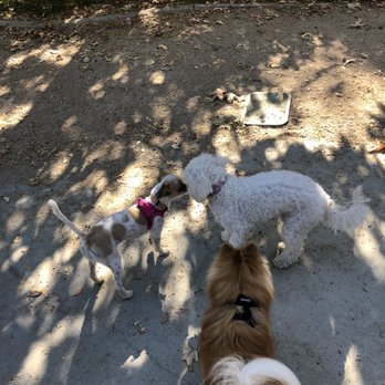 Claremont Pooch Park - Dog Parks Near Me - Claremont, California Claremont Pooch Park - Dog Parks Near Me - Claremont, California