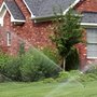 Photo of Lowe Irrigation