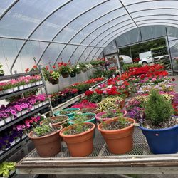 Bedner's Farm Market