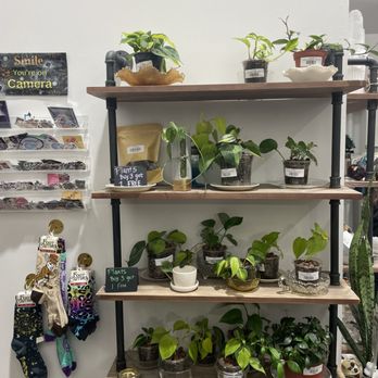 Witchy Yoga Girl - Spiritual Shop Near Me - Sandy, Utah