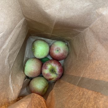 Battleview Orchards - Our bag of apples! - Pick Your Own Farms Near Me - Freehold, New Jersey