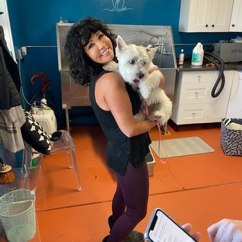 Squeaky - Pet Groomers Near Me - Heber City, Utah Squeaky - Pet Groomers Near Me - Heber City, Utah