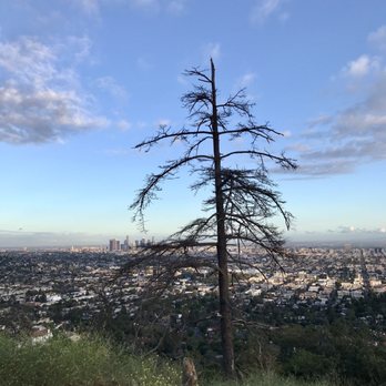 Mt. Hollywood Trail - Hiking Near Me - Los Angeles, California Mt. Hollywood Trail - Hiking Near Me - Los Angeles, California