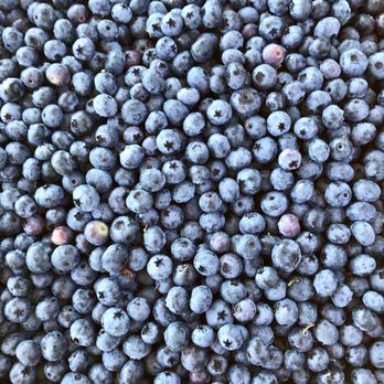 Valentina Farm - blueberries - Farmers Market Near Me - Arlington, Washington Valentina Farm - blueberries - Farmers Market Near Me - Arlington, Washington