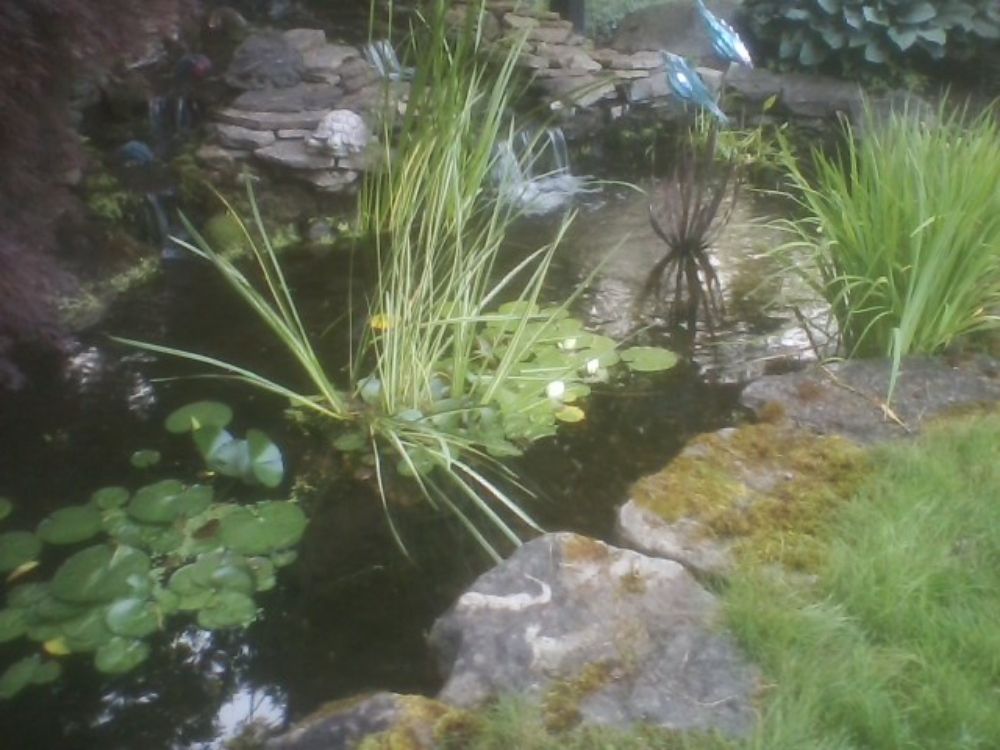 Slide of E/Z Landscaping and Contracting