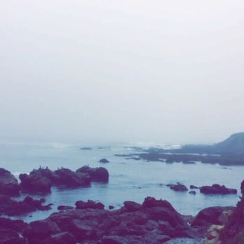 Fiscalini Ranch Preserve - Gorgeous views - Beaches Near Me - Cambria, California