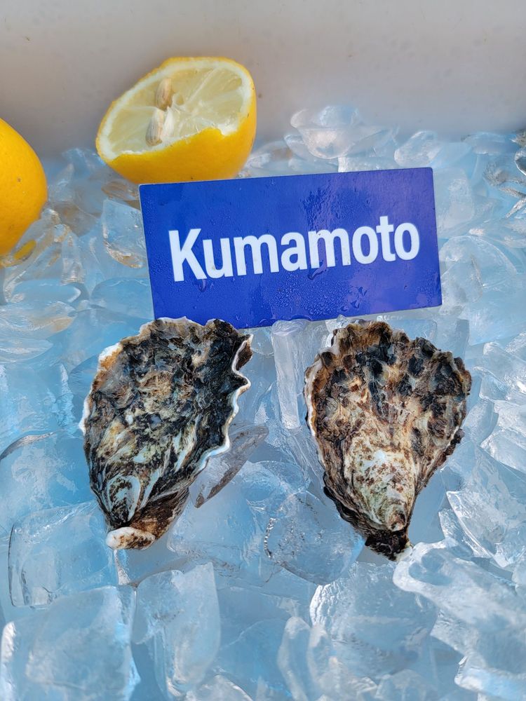 TOMALES BAY OYSTER COMPANY Updated July 2024 1330 Photos & 876