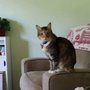 Photo of Prairie Oak Veterinary Center