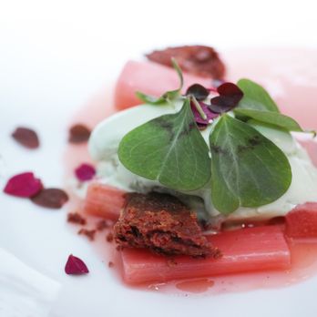 Ludwig van - Rhabarber Sauerklee | gebrannte Schokolade Food (c) Walter Leidenfrost 2017 Foto (c) Sven Fargo 2017 - Austrian Near Me - Vienna, 9 Ludwig van - Rhabarber Sauerklee | gebrannte Schokolade Food (c) Walter Leidenfrost 2017 Foto (c) Sven Fargo 2017 - Austrian Near Me - Vienna, 9