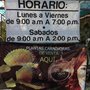 Photo of Tortas del campestre