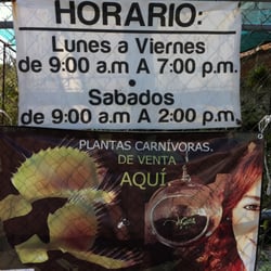 Tortas del campestre