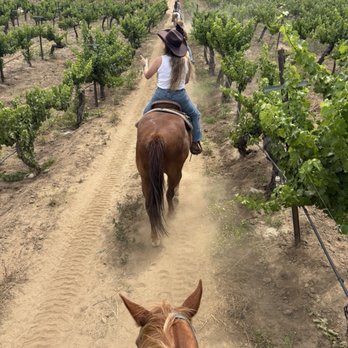 Wine Country Trails by Horseback - Tours Near Me - Temecula, California