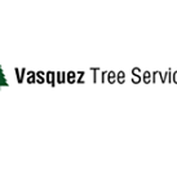 Vasquez Tree Service - Vasquez Tree Service logo - Tree Services Near Me Vasquez Tree Service - Vasquez Tree Service logo - Tree Services Near Me