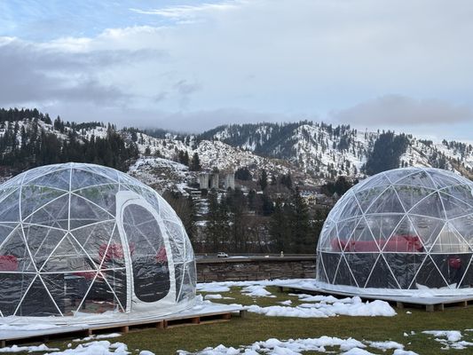 Silvara Cellars by null