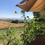 Photo of Bitner Vineyards