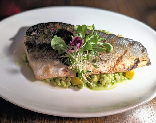 The Ivy Room by null