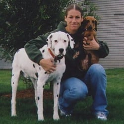 Feline Friends & Dog Walk Savvy