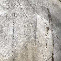 Checkered Flag Fast Oil Change - Oil leak all over driveway