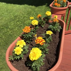 Color on the deck