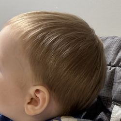 The Hairy Elephant - Bowl cut?!