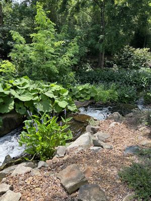 Creation Museum by null