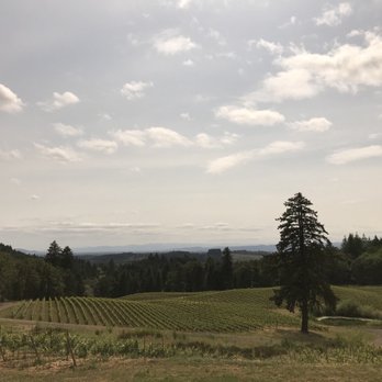 Alexana Winery - Wineries Near Me - Newberg, Oregon Alexana Winery - Wineries Near Me - Newberg, Oregon