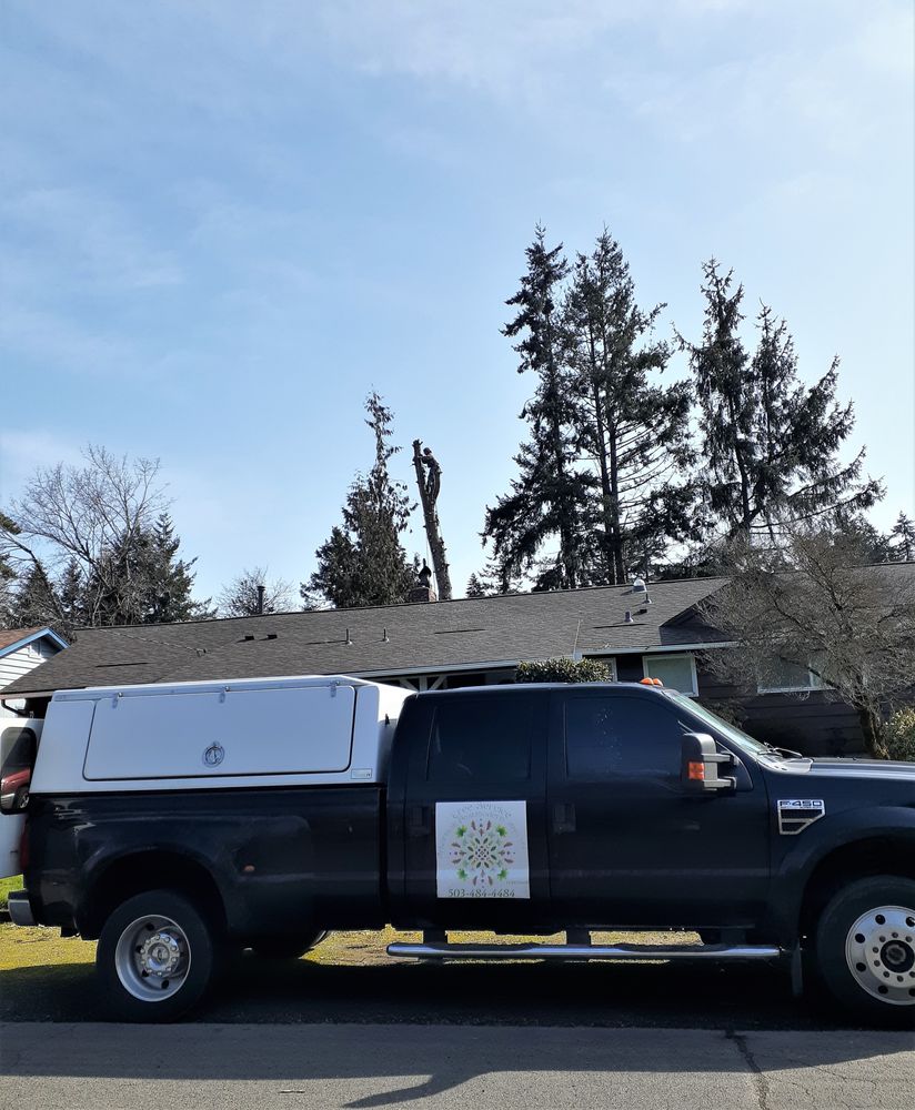 Arbortask Postmodern Apps - tree service in North Plains, OR