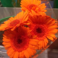 Le Jardin des Fleurs