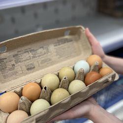 H-E-B - Heirloom eggs