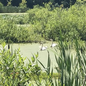 West Bloomfield Trail - Hiking Near Me - West Bloomfield Township, Michigan