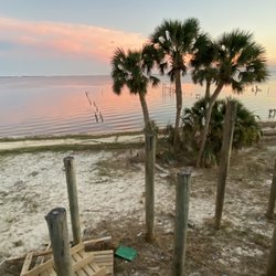 Specialized Palm And Tree Care - Palm tree designs very top rate, wide range of services. Give palm trees a much needed facelift!