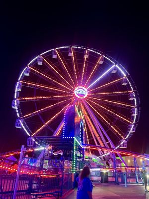 Paradise Pier Fun Park by null