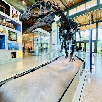 Witte Museum - Museums Near Me - San Antonio, Texas Witte Museum - Museums Near Me - San Antonio, Texas