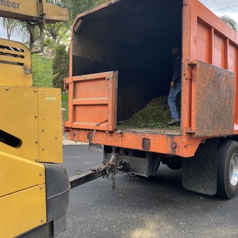 Freddy's Tree Service - Tree Services Near Me - Anaheim, California Freddy's Tree Service - Tree Services Near Me - Anaheim, California