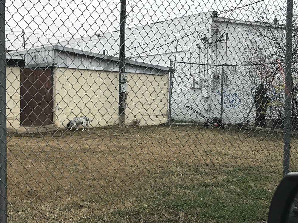 KILLEEN ANIMAL CARE 10 Reviews 424 W Rancier Ave, Killeen, Texas