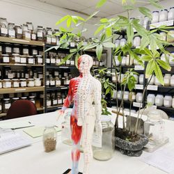 Institute Of Clinical Acupuncture & Oriental Medicine