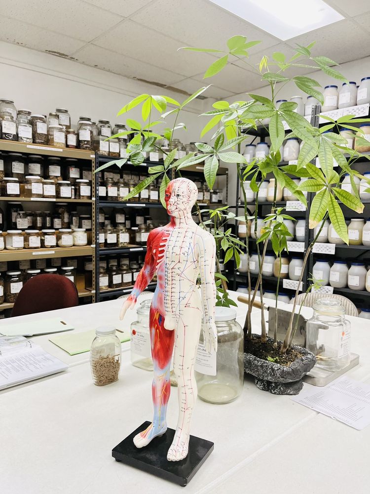 INSTITUTE OF CLINICAL ACUPUNCTURE & ORIENTAL MEDICINE Updated October 2024 30 Photos & 18