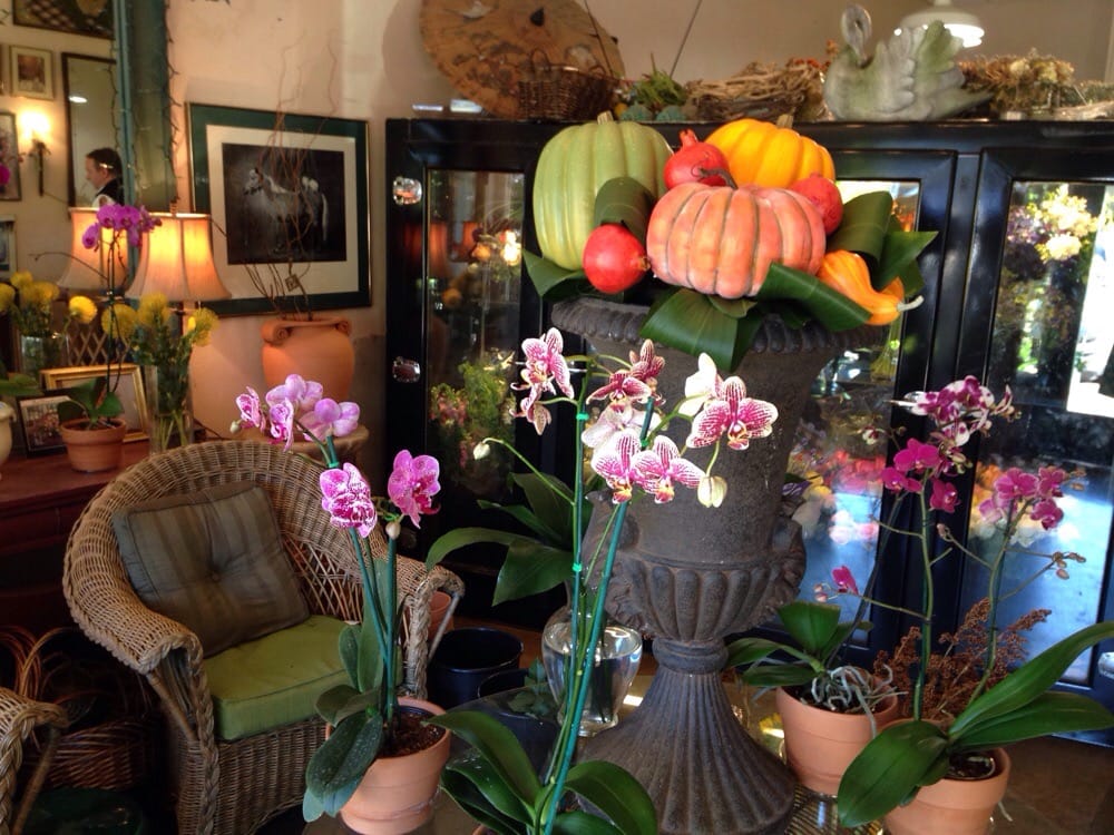 MOUNTAIN BROOK FLOWER SHOP Updated October 2024 2407 Montevallo Rd