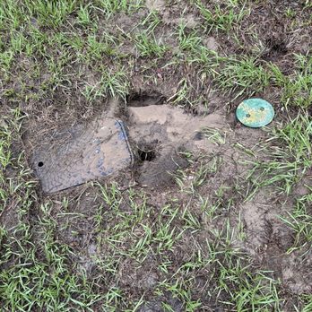 D.R. Horton Orlando - Holes in the ground so someone can fall in. We asked for more dirt to be brought out they still have not done it. - General Contractors Near Me - Orlando, Florida