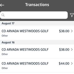 West Woods Golf Course - Bought 2 rounds of 9-holes and a small bucket of balls. Charged for 3 rounds. No refund.