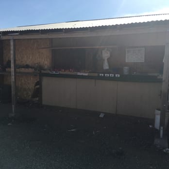 Chanchio's Strawberry Stand - a woman standing at the counter - Fruits & Veggies Near Me - Discovery Bay, California Chanchio's Strawberry Stand - a woman standing at the counter - Fruits & Veggies Near Me - Discovery Bay, California