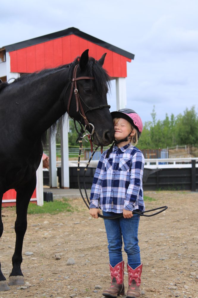 Alaska Horse Ranch - equestrian in Wasilla, AK