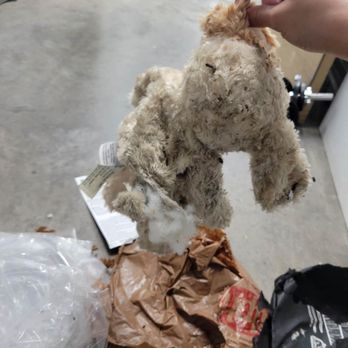 Extra Space Storage - Teddy bear - Self Storage Near Me - Phoenix, Arizona