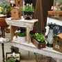 Photo of Morgantown Market