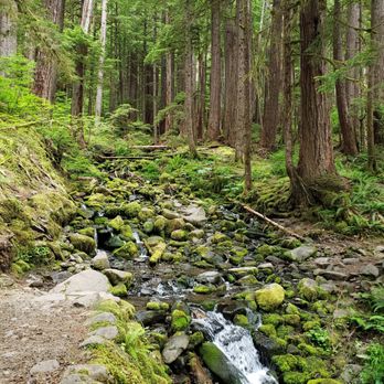 Sol Duc Falls - Stream. - Hiking Near Me Sol Duc Falls - Stream. - Hiking Near Me