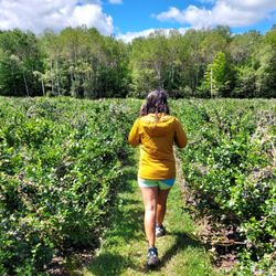 Highland Valley Berry Farm