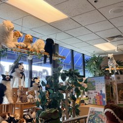 Caramel Crisp Gift Shop - Book Store/Kids section