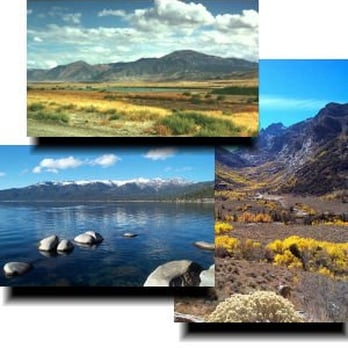 Lahontan Valley Environmental Alliance - Community Service/Non-Profit Near Me Lahontan Valley Environmental Alliance - Community Service/Non-Profit Near Me