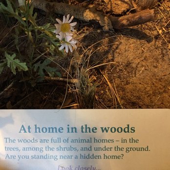 Mueller State Park - What's in the woods? - Hiking Near Me - Divide, Colorado
