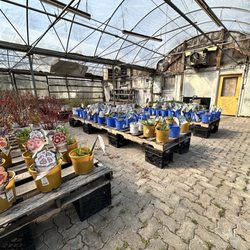 Appleseed Farms Market - Back/side greenhouse area